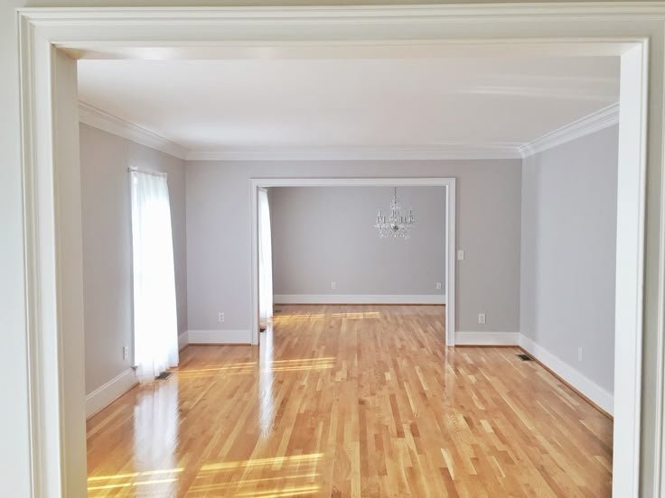 Painters Fairview Vancouver interior condo painting bold colour